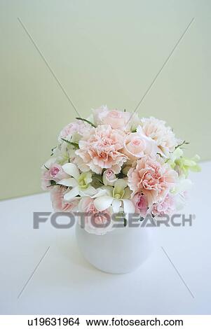 Carnations in vase View Large Photo Image Picture - Carnations in vase. Fotosearch