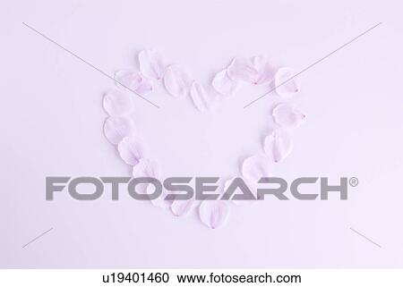 Stock Image - Cherry blossom petals creating heart shape. Fotosearch