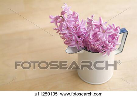 Hyacinths in jug View Large Photo Image Stock Photography - Hyacinths in jug. Fotosearch