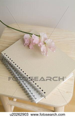 Sweet pea flowers and notebooks on stool View Large Photo Image Stock Image - Sweet pea flowers and notebooks on stool. Fotosearch