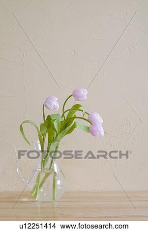 Picture - Tulips in jug. Fotosearch