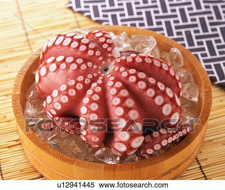 Octopus View Large Photo Image Stock Photography - Octopus. Fotosearch