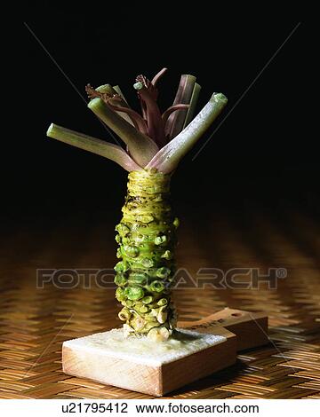 Stock Image - Wasabi. Fotosearch