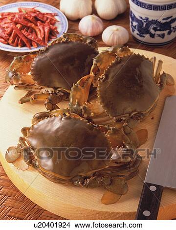 Swimming Crab View Large Photo Image Picture - Swimming Crab. Fotosearch