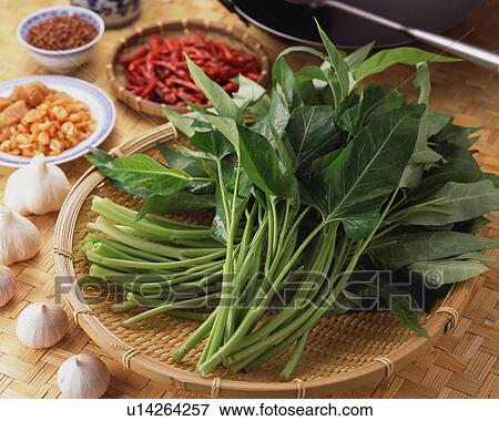 Stock Photo - Water Spinach. Fotosearch