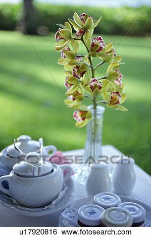 Stock Photograph - Sugar pot on table. Fotosearch