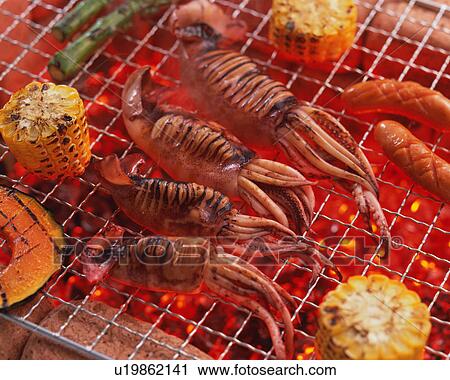 Grilled squids over charcoal View Large Photo Image Stock Image - Grilled squids over charcoal. Fotosearch