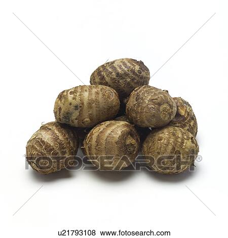 Stock Photo - Aroid. Fotosearch