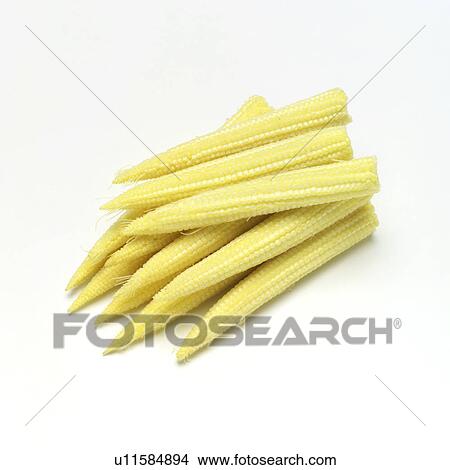 Picture - Baby corn. Fotosearch
