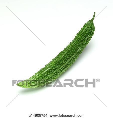 Balsam pear  View Large Photo Image Picture - Balsam pear . Fotosearch