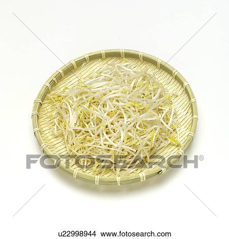 Picture - Bean sprouts. Fotosearch