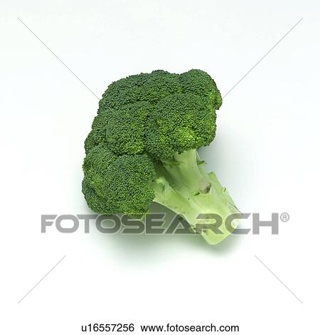 Stock Photograph - Broccoli. Fotosearch