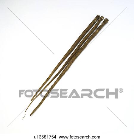 Burdock View Large Photo Image Picture - Burdock. Fotosearch