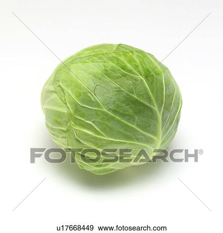 Cabbage View Large Photo Image Stock Photo - Cabbage. Fotosearch