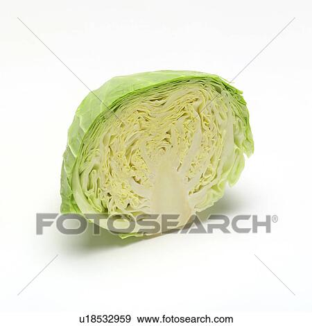 Cabbage View Large Photo Image Stock Photo - Cabbage. Fotosearch
