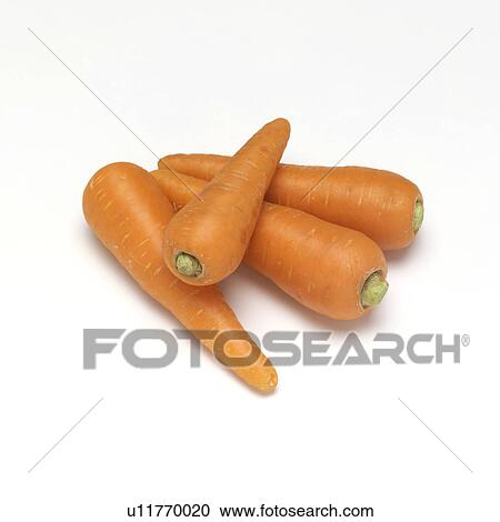 Stock Image - Carrot. Fotosearch