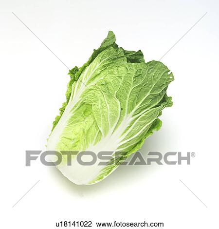 Chinese Cabbage View Large Photo Image Stock Image - Chinese Cabbage. Fotosearch