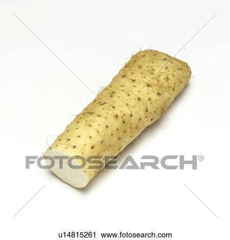 Stock Image - Chinese Yam. Fotosearch