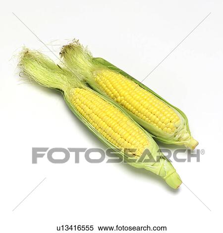 Stock Photography - Corn. Fotosearch