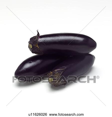 Stock Photograph - Eggplant. Fotosearch