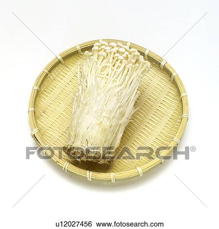 Enoki mushroom View Large Photo Image Stock Photograph - Enoki mushroom. Fotosearch