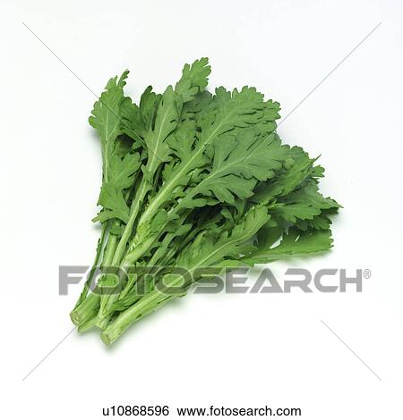Stock Photograph - Garland chrysanthemum . Fotosearch