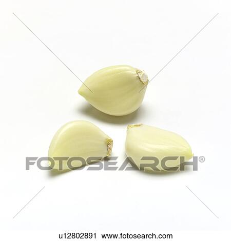 Stock Image - Garlic. Fotosearch