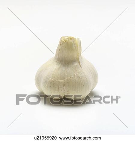 Stock Image - Garlic. Fotosearch
