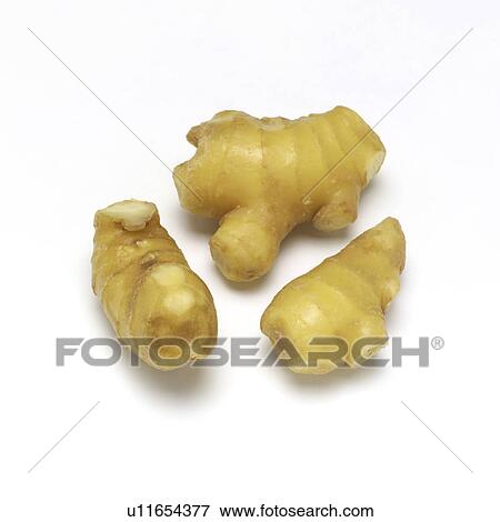 Stock Photo - Ginger root. Fotosearch