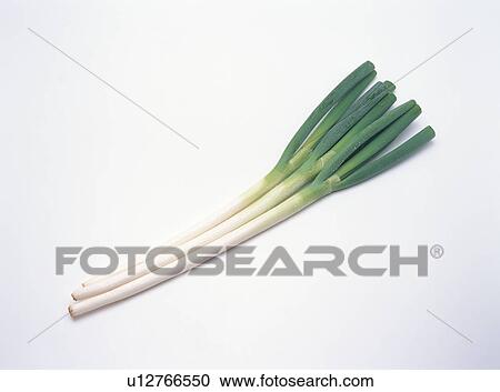 Green onion View Large Photo Image Stock Image - Green onion. Fotosearch