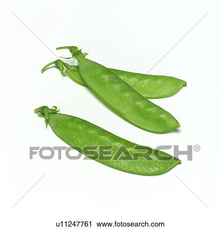 Stock Image - Green pea. Fotosearch
