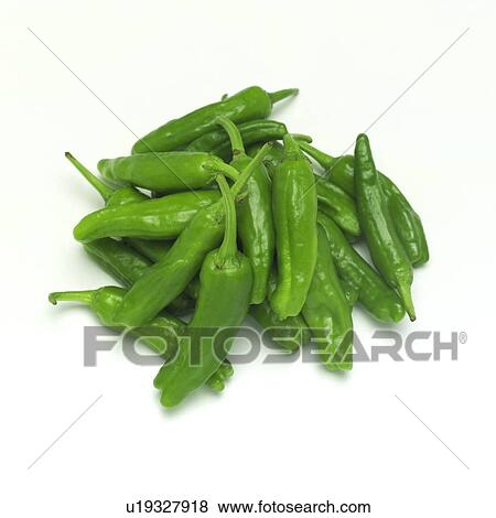 Stock Photo - Green pepper. Fotosearch