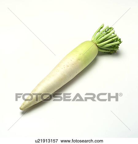 Stock Photo - Japanese radish. Fotosearch