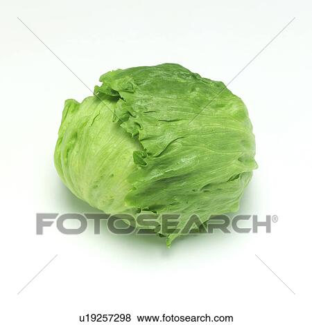 Stock Photo - Lettuce. Fotosearch