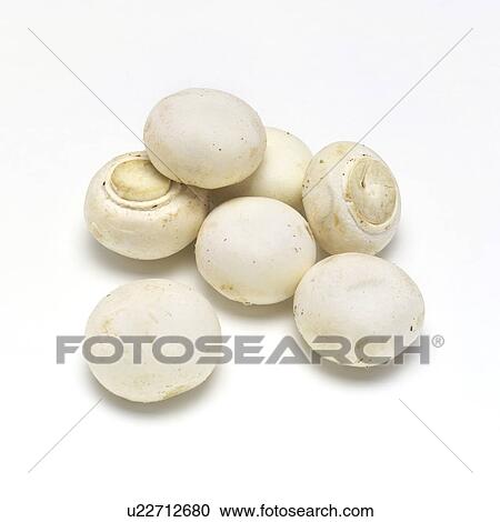 Stock Image - Mushroom. Fotosearch