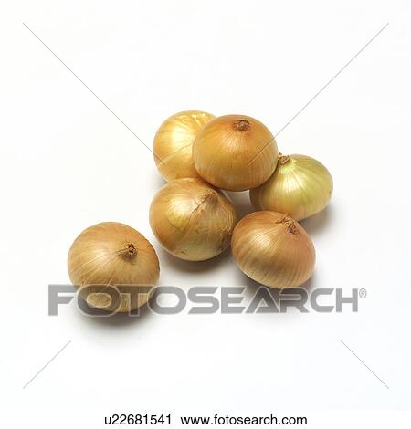 Stock Image - Onion. Fotosearch