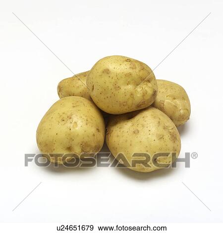 Stock Photo - Potato. Fotosearch