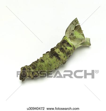Stock Image - Wasabi. Fotosearch