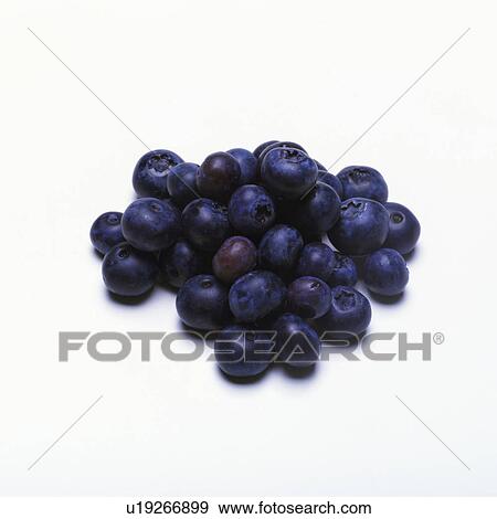 Stock Photo - Blueberry. Fotosearch