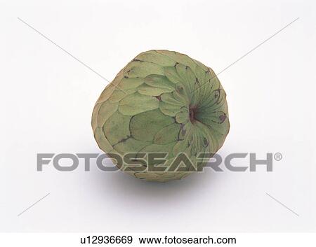 Stock Photo - Cherimoya. Fotosearch
