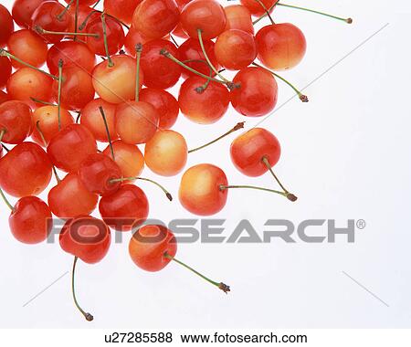 Stock Photo - Cherry. Fotosearch