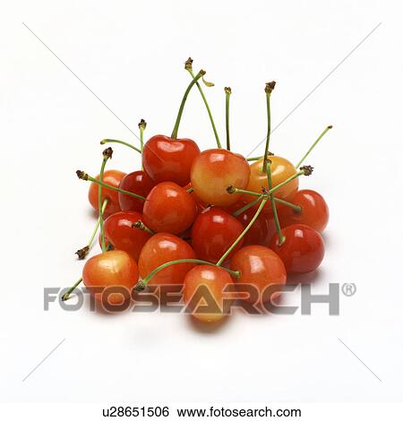 Stock Photograph - Cherry. Fotosearch