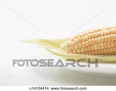Picture - Corn, close-up. Fotosearch