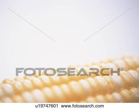 Stock Image - Corn, close-up. Fotosearch