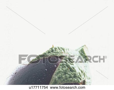 Eggplant, close-up View Large Photo Image Picture - Eggplant, close-up. Fotosearch