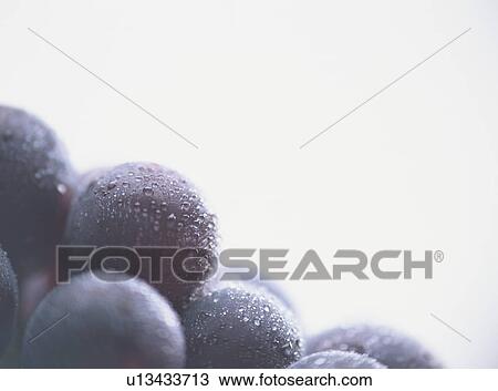 Stock Image - Grape, close-up. Fotosearch