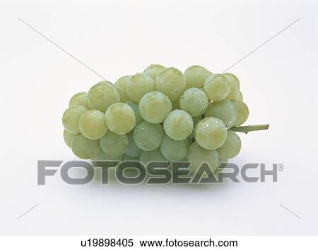 Grape View Large Photo Image Stock Photography - Grape. Fotosearch