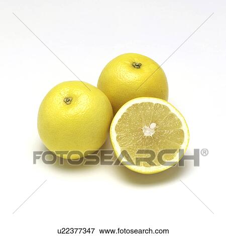 Stock Photo - Grapefruit. Fotosearch