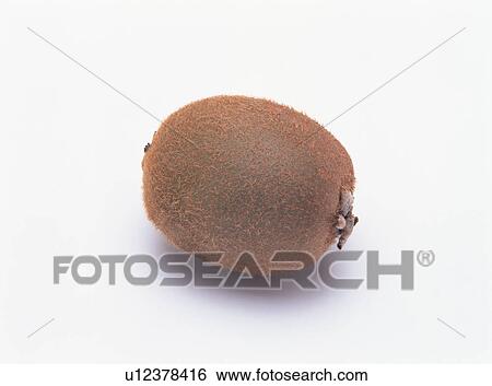 Kiwi View Large Photo Image Stock Photograph - Kiwi. Fotosearch