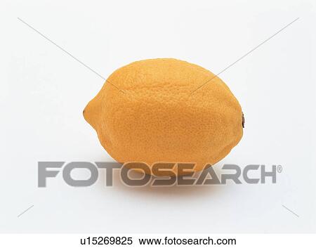 Lemon View Large Photo Image Stock Photography - Lemon. Fotosearch